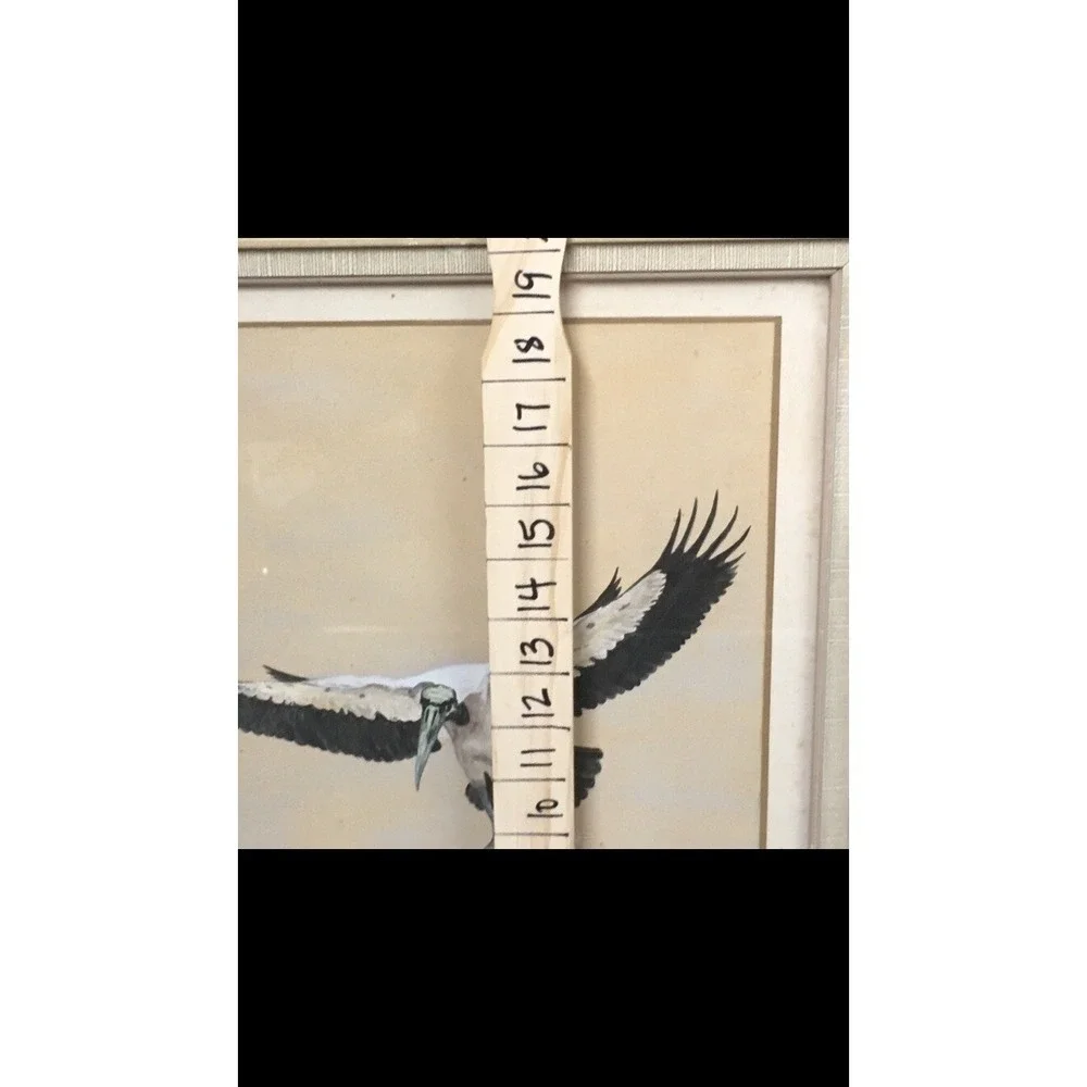 N/A frame needs